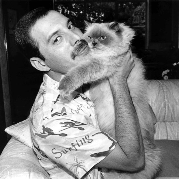 freddie-mercury-ca_1988519i